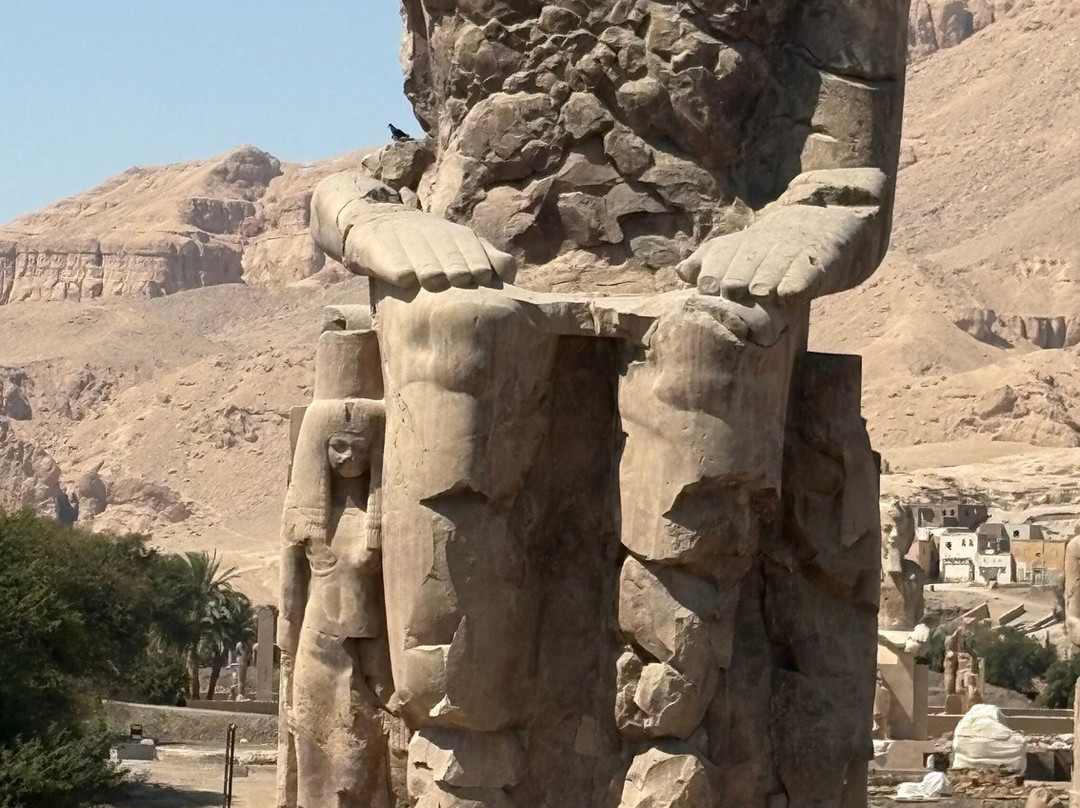 Colossi of Memnon-卢克索必去景点