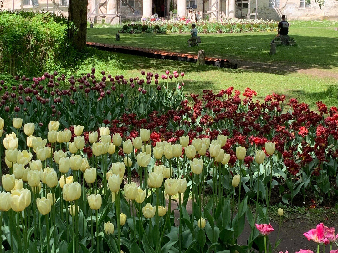 Kirna Mõis & Kirna Manor-Kirna必去景点