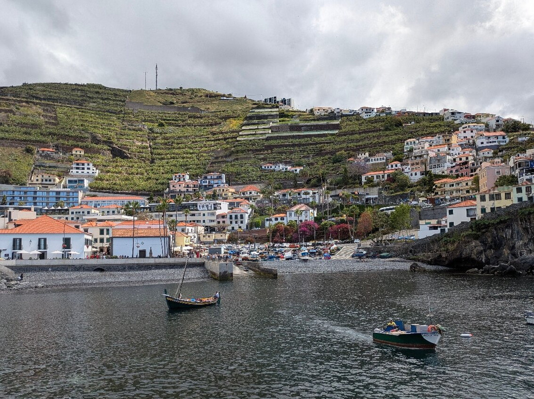Camara Do Lobos-Camara De Lobos必去景点