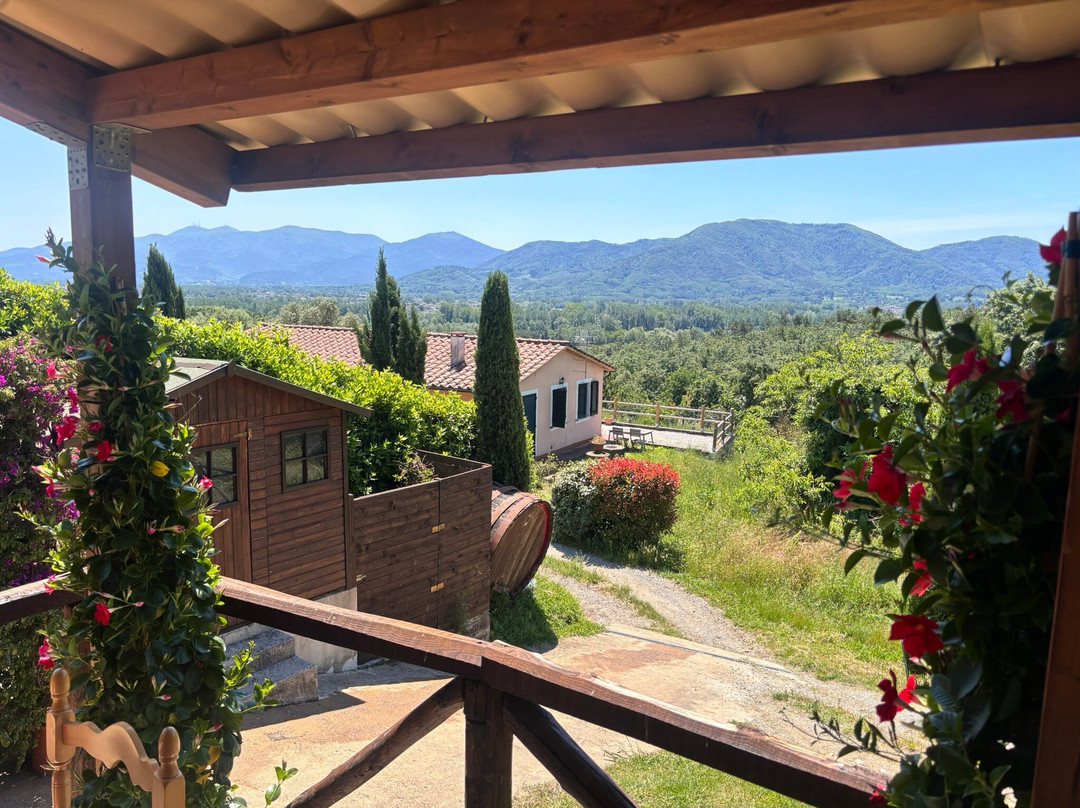 Fattoria Al Dotto-卢卡必去景点