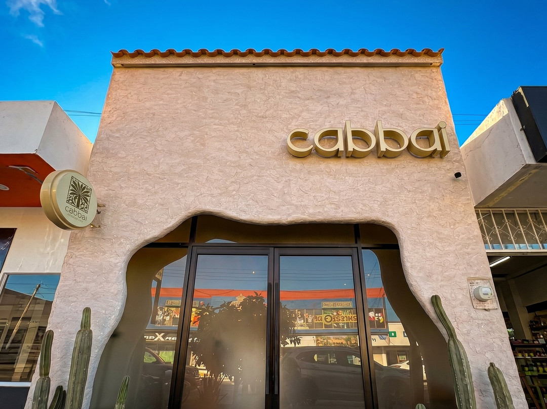 Cabbai