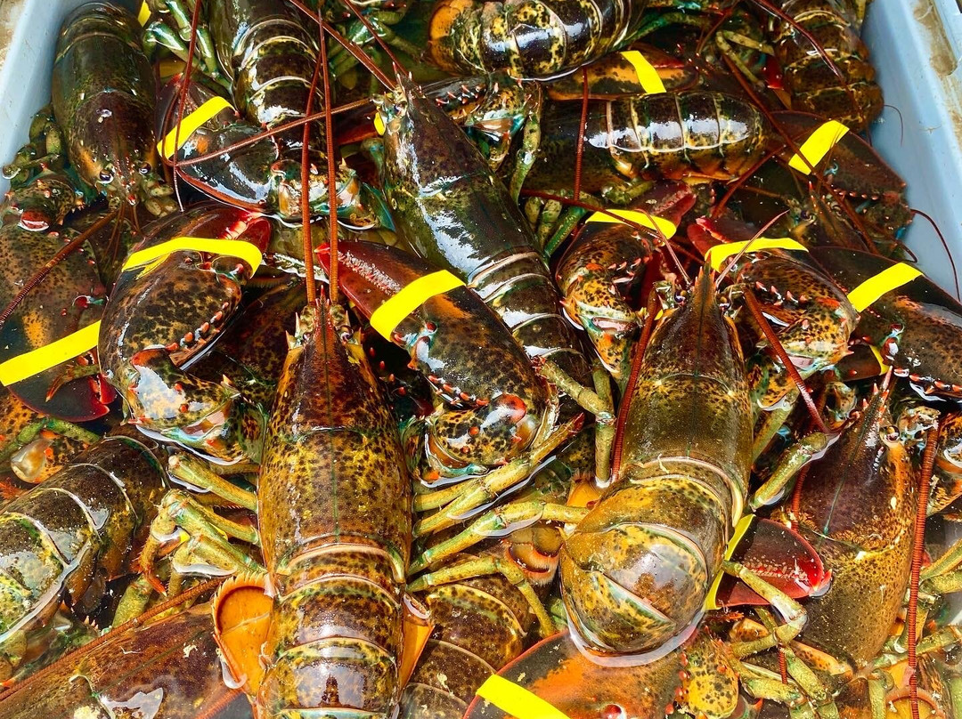 Hawkes' Lobster Gift Shop-Harpswell必去景点