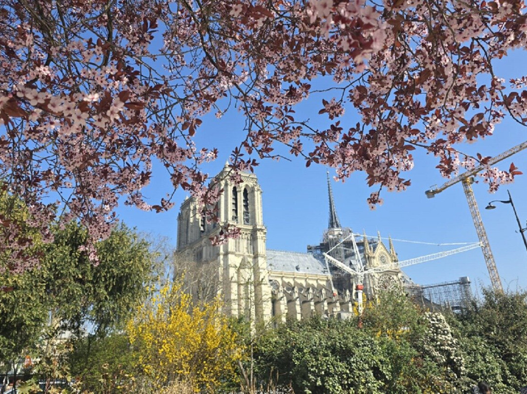 Tours In Rose