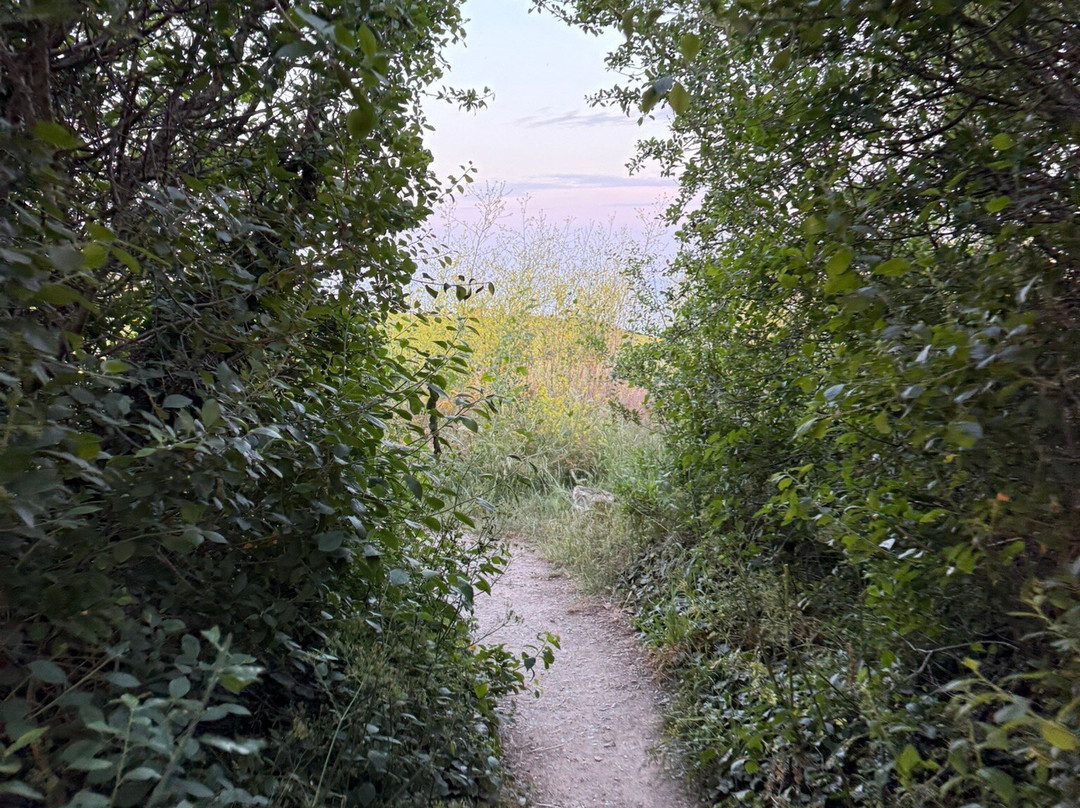 Ringstead Bay-Ringstead必去景点