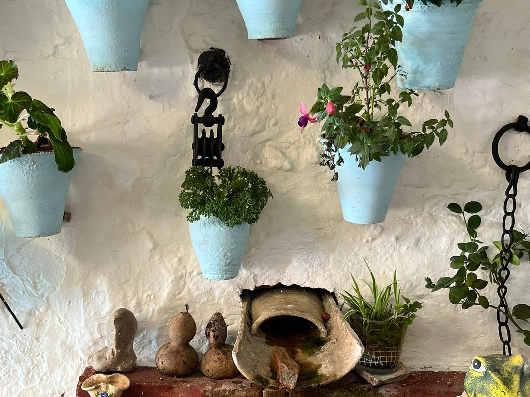 Los Patios de San Basilio-科尔多瓦必去景点