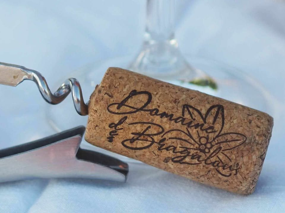 Domaine Des Bragalous-Saint-Sauveur-de-Cruzieres必去景点