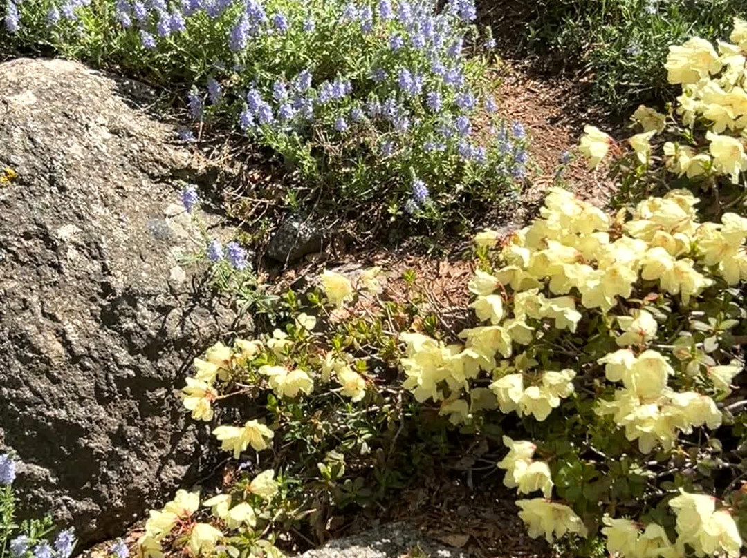 Annapolis Royal Historic Gardens-安纳波利斯罗亚尔必去景点