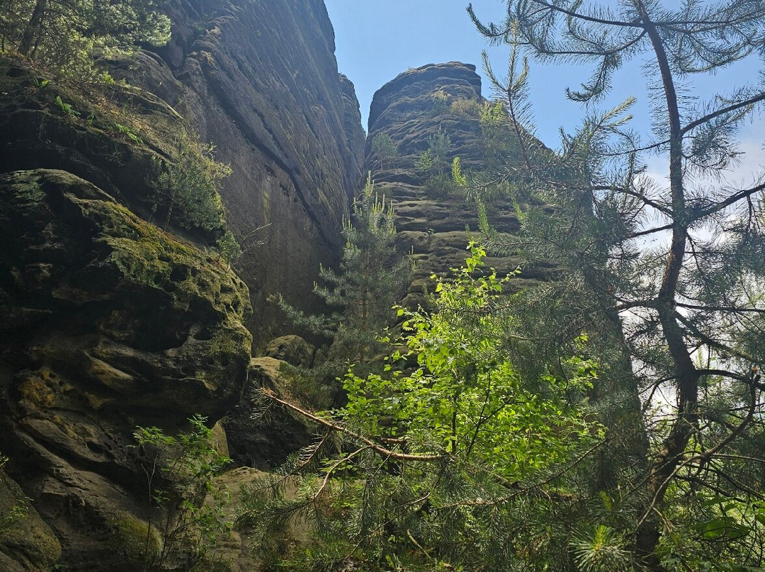 Der Gohrisch (Gohrischstein)
