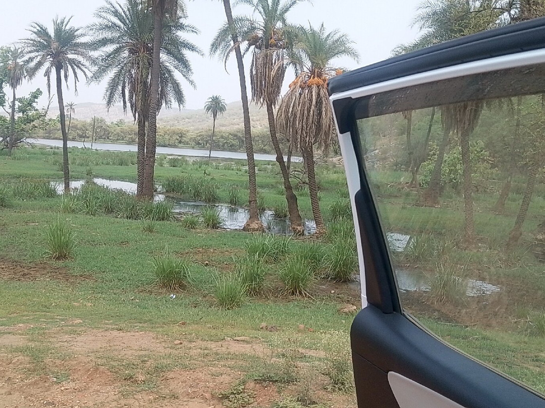 Sariska Tiger Reserve-阿尔瓦必去景点