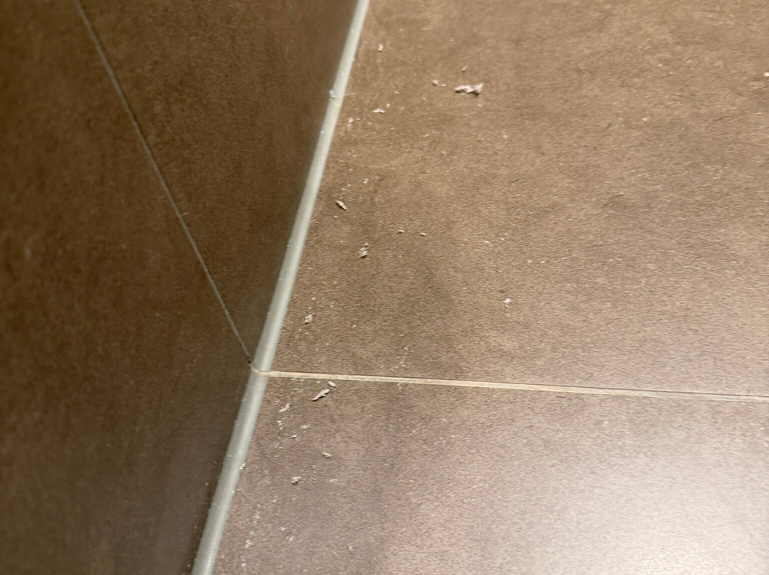 维多利亚哈马尔酒店主图