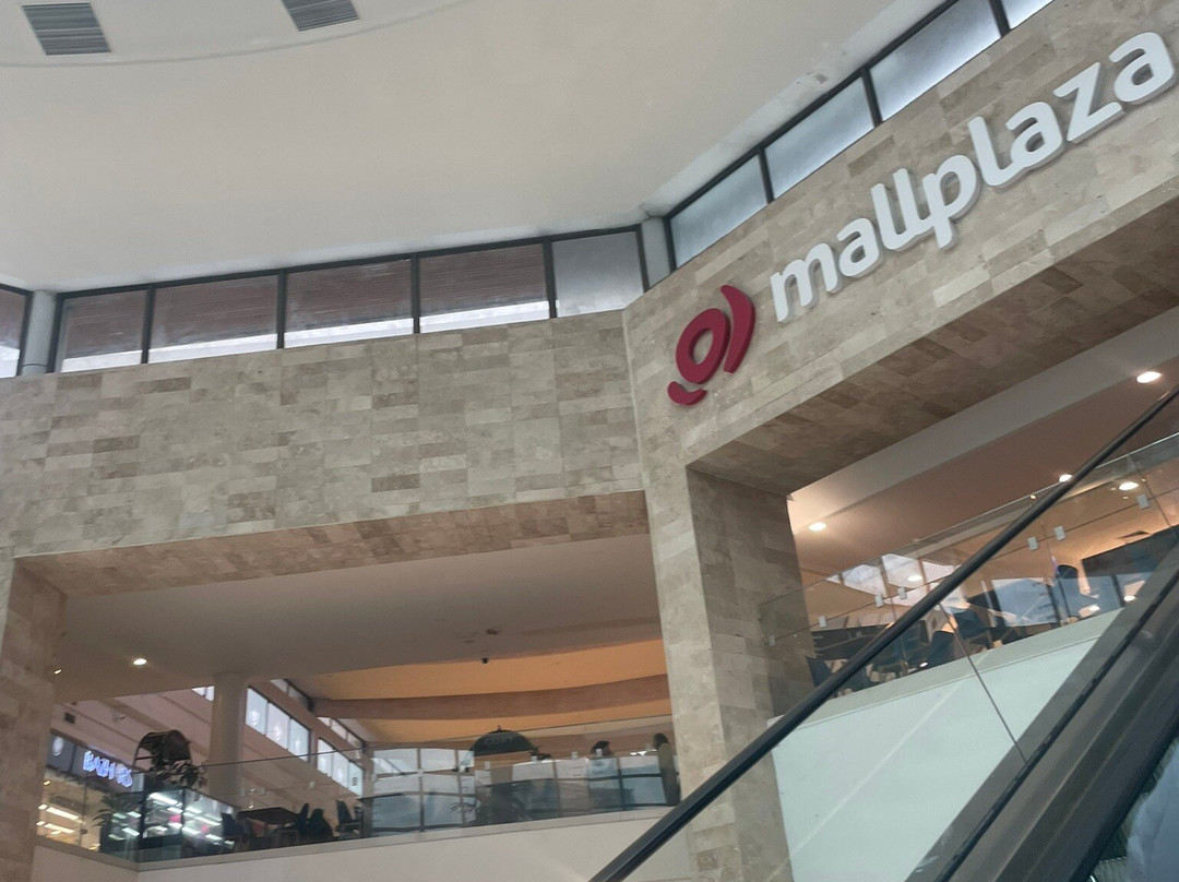 Mall Plaza Trebol-康塞普西翁必去景点