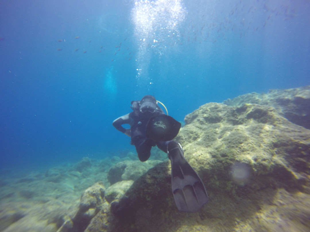 Royal Octopus DIVE CENTER-Kolymbari必去景点