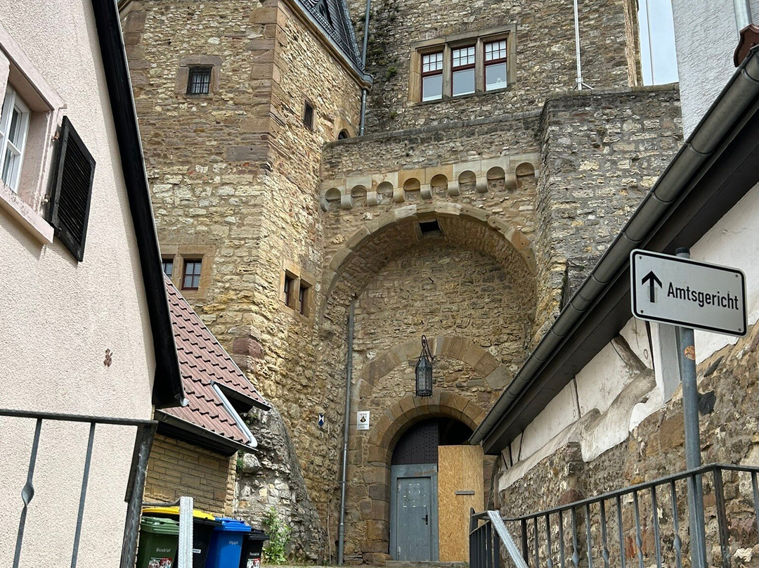 Alzeyer Schloss-Alzey必去景点