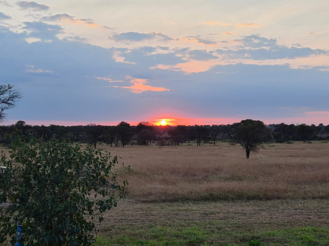 OSOTUA TENTED CAMPS-Ikoma必去景点