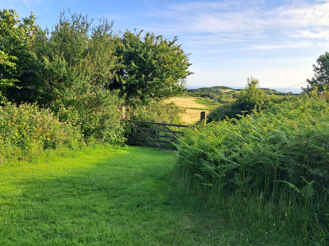 Warcombe Farm Camping Park主图