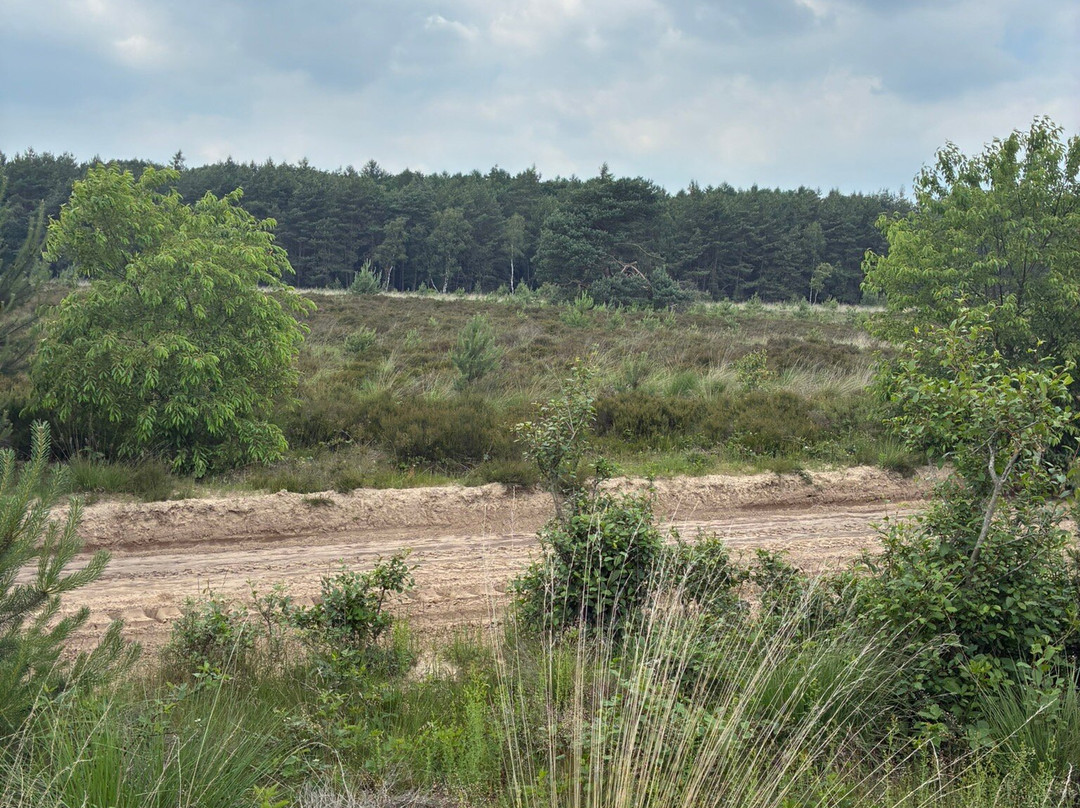 Nationale Park Hoge Veluwe-奥特洛必去景点