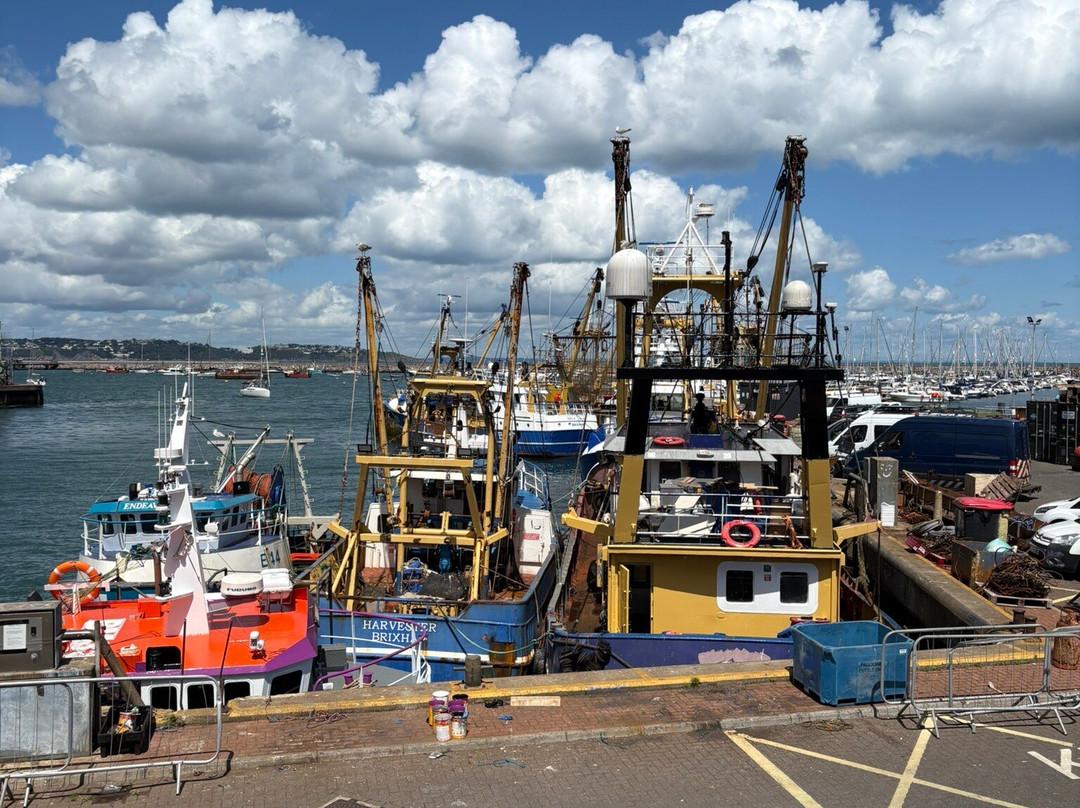 Brixham Harbour-布里克瑟姆必去景点
