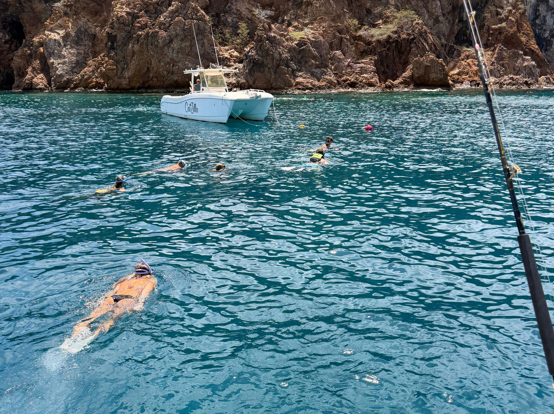 Sailabration Yachting-Dénia必去景点