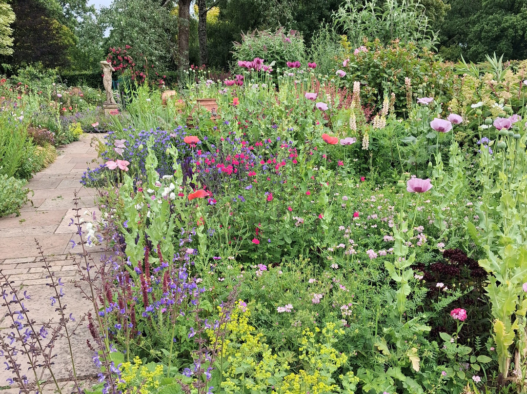 Burrow Farm Gardens-Dalwood必去景点