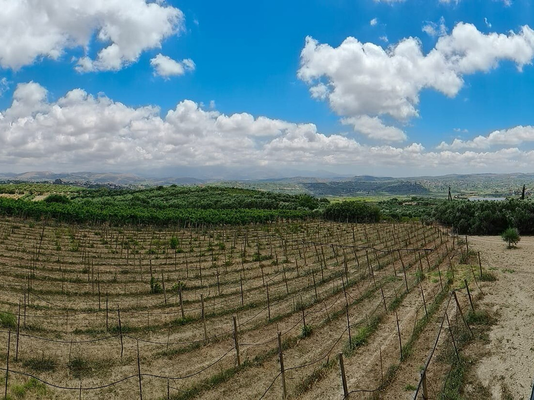 Winery Stilianou-Archanes必去景点