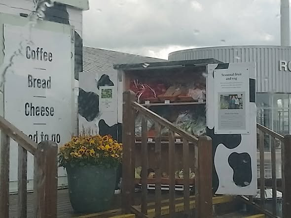 Fen Farm Dairy Farm Shop