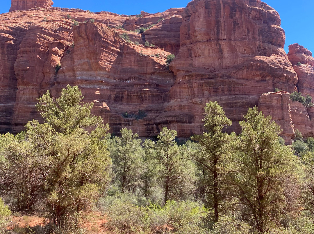 Arizona Safari Jeep Tours-塞多纳必去景点