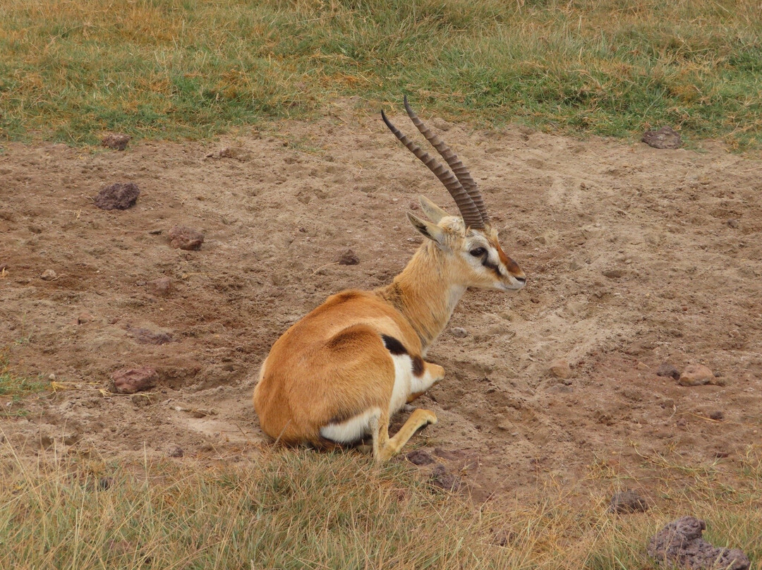 Unlimited Expeditions - The Soul Of Tanzania-阿鲁沙必去景点