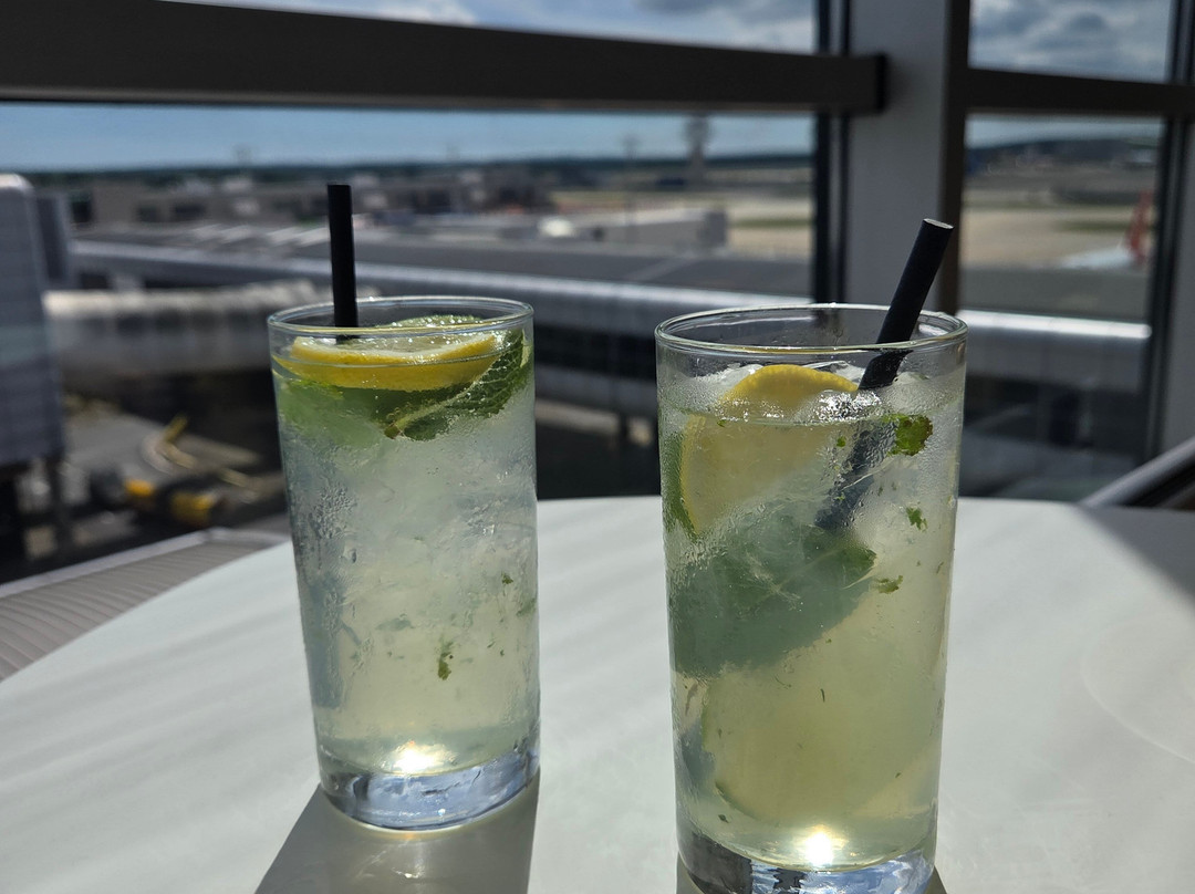 Plaza Premium Lounge Gatwick North Departures-霍利必去景点