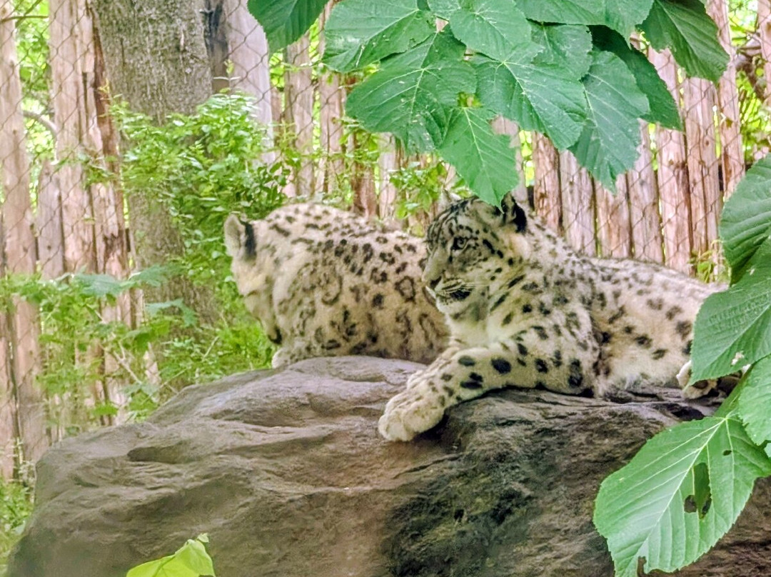 Binder Park Zoo-Battle Creek必去景点