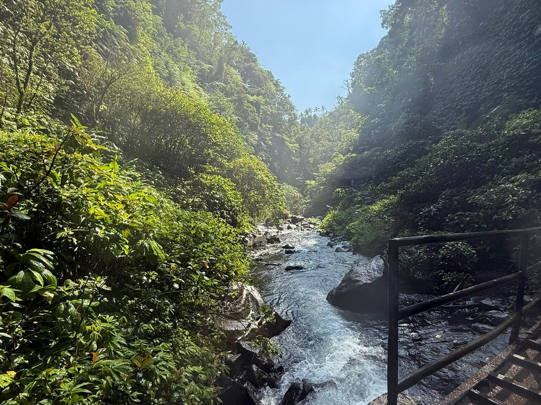 赛卡普瀑布-Sekumpul必去景点