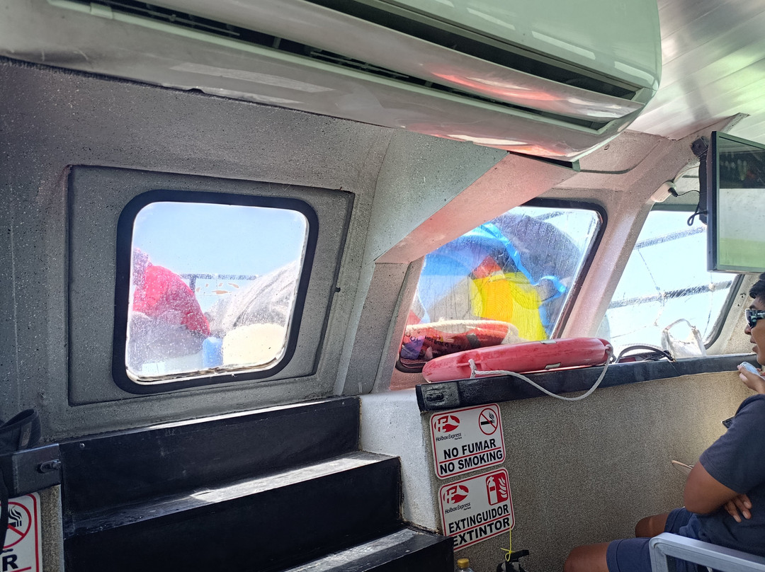 Barcos Holbox Express-Holbox Island必去景点