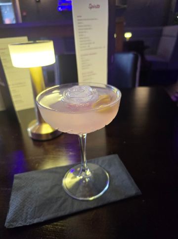 皇家弗特斯克酒店-旅行者