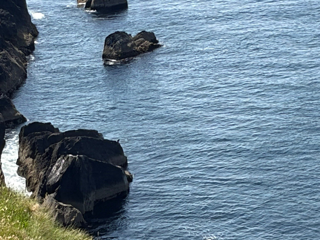 Kerry Experience Tours-Sneem必去景点