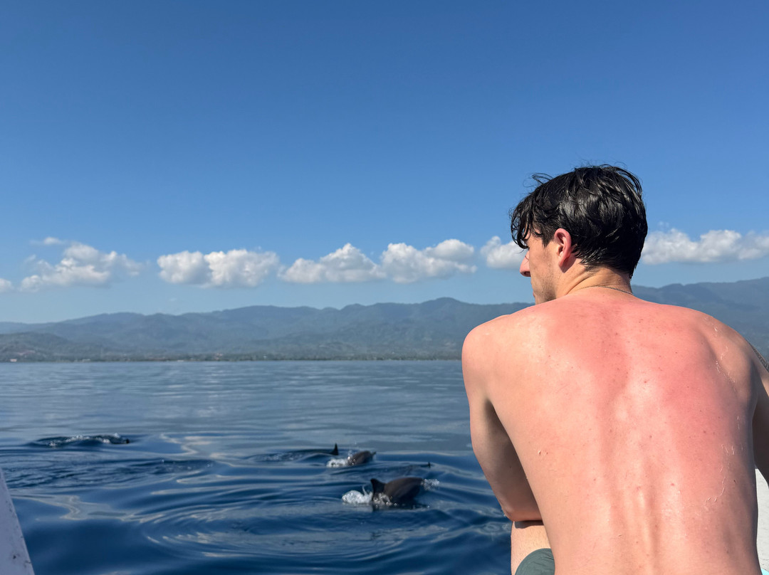 dolphin Lovina tours-罗威那海滩必去景点