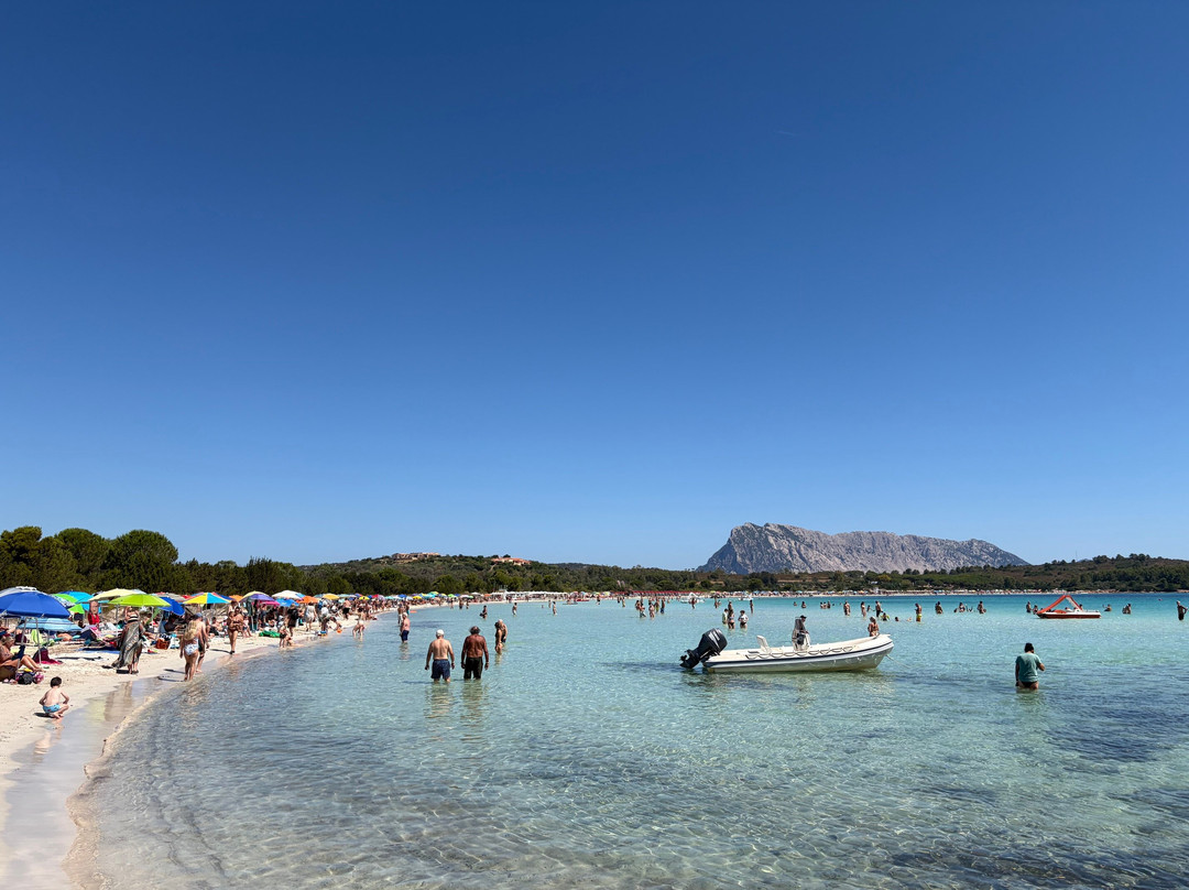 Cala Brandinchi-Capo Coda Cavallo必去景点