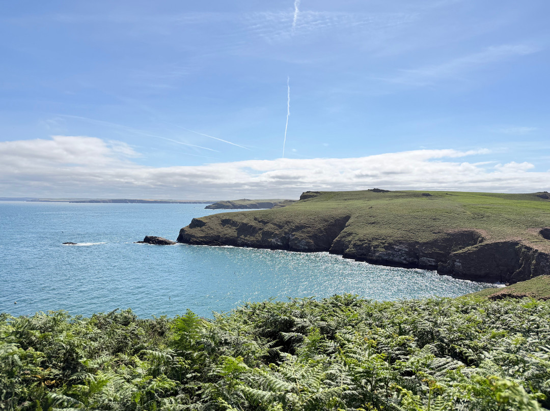 Pembrokeshire Islands Boat Trips-Marloes必去景点
