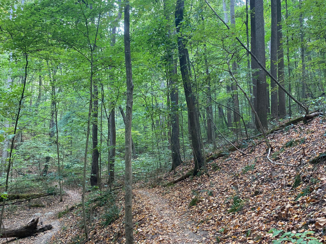 Rockbridge State Nature Preserve-Rockbridge必去景点