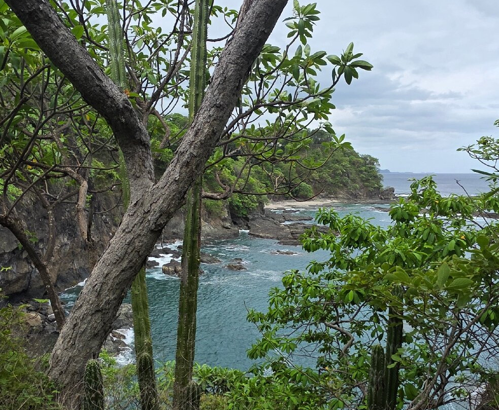 Scubacaribe, Costa Rica-Playa Matapalo必去景点