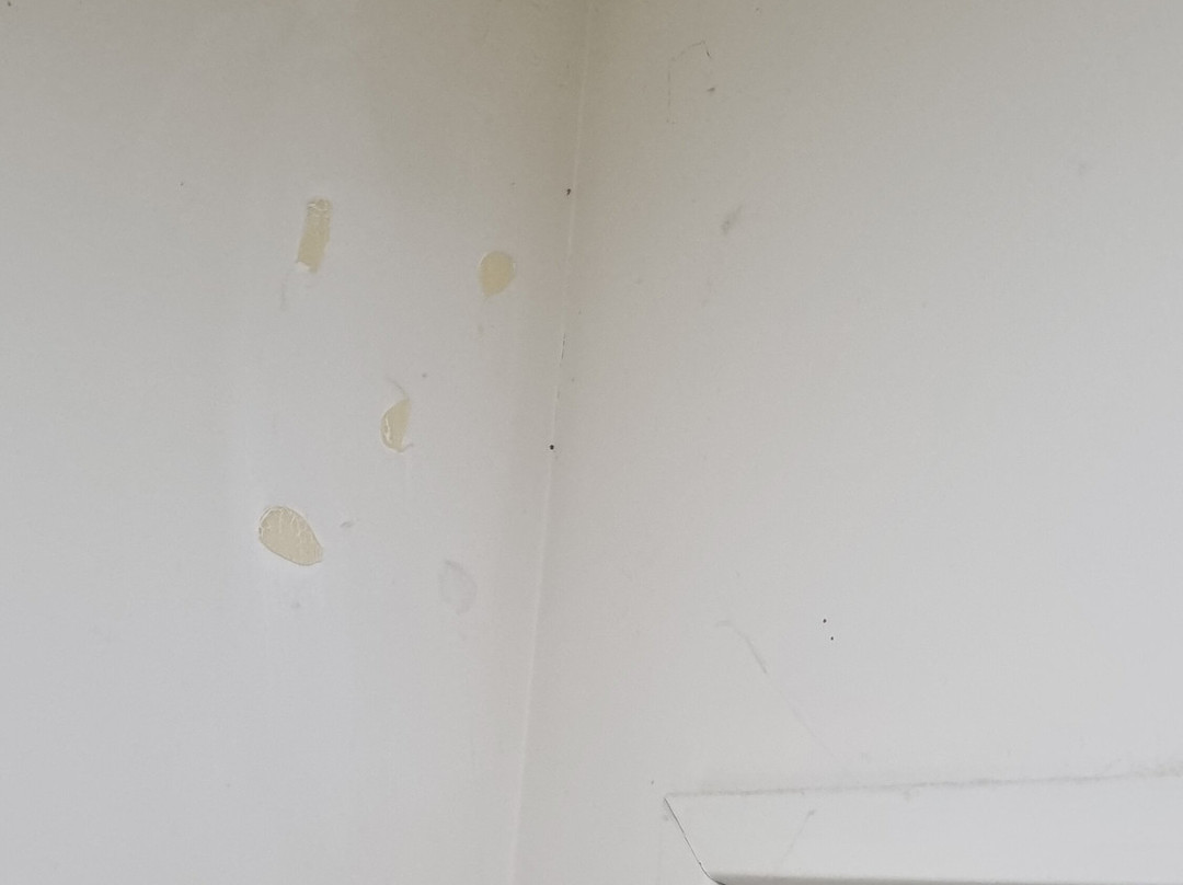 Gawler Townhouse U1 1 Bedroom