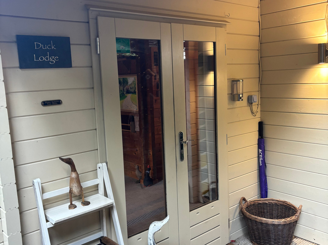 鸭子小屋家庭旅馆主图