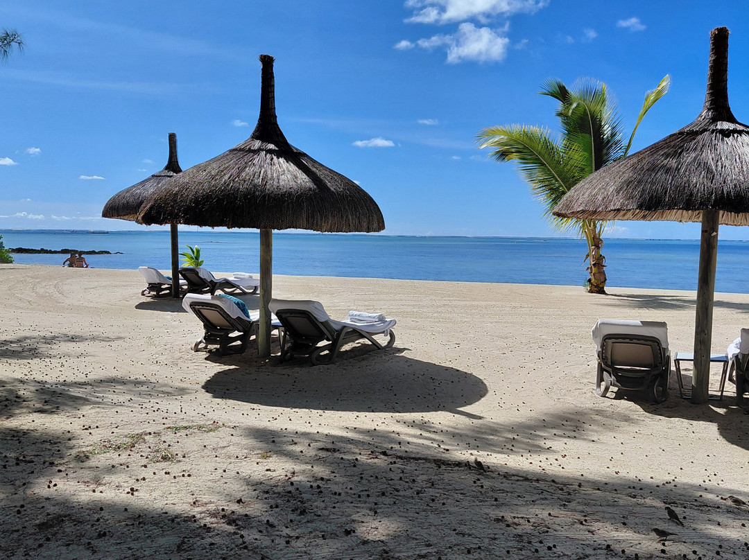 Paradisio Excursions Ile Maurice-大湾必去景点