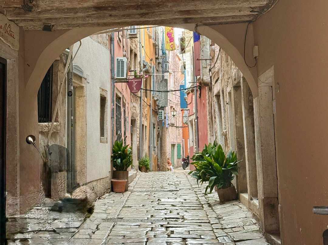 Old Town-罗维尼必去景点