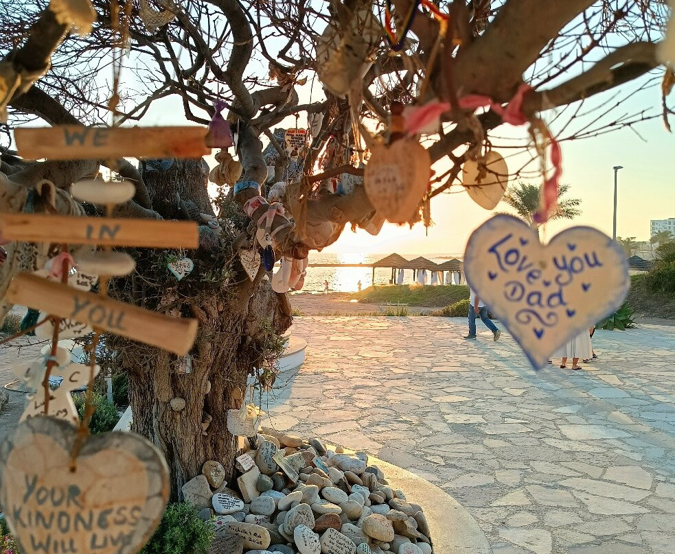 Constantinou Bros Pioneer Beach Hotel主图