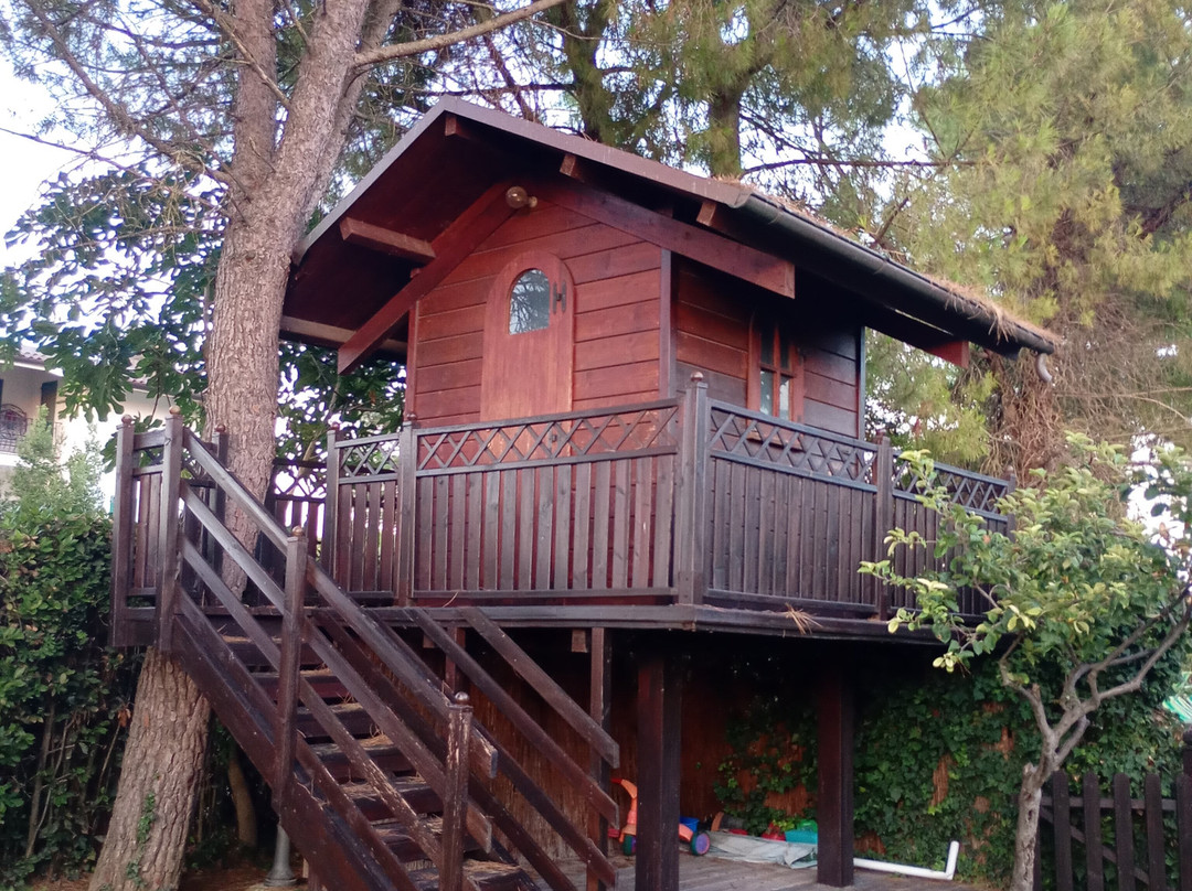 Agriturismo Il Casale主图