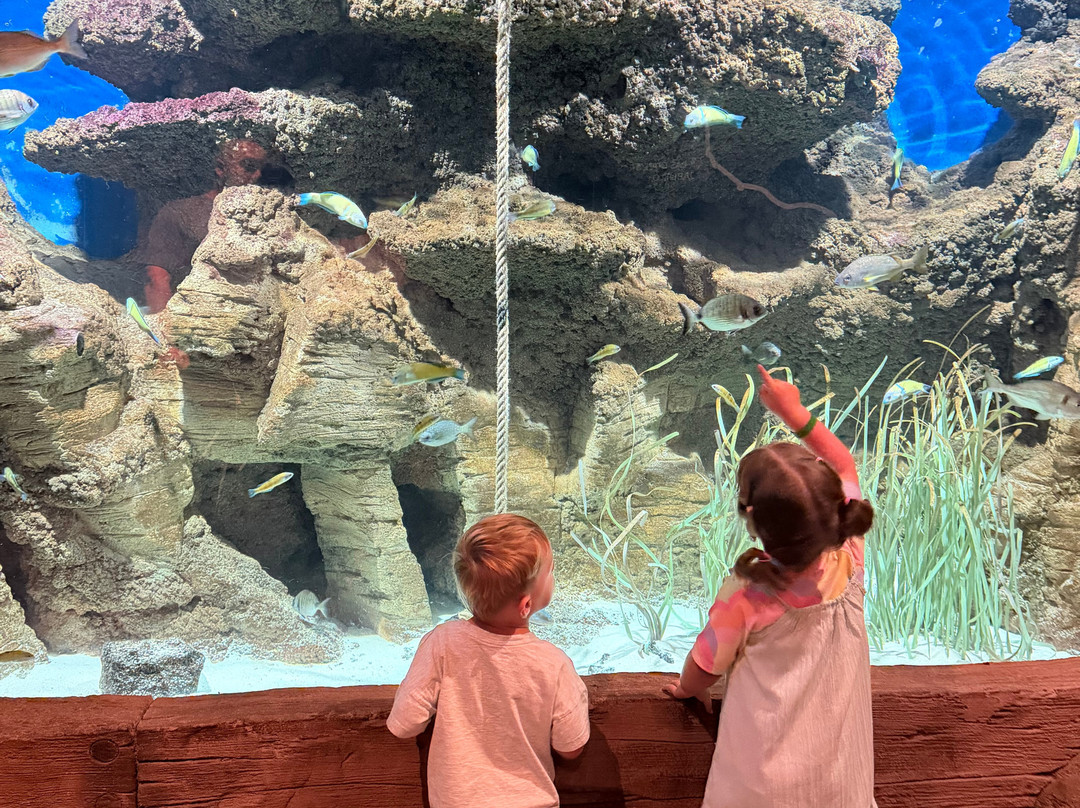 Lanzarote Aquarium-科斯塔特吉塞必去景点