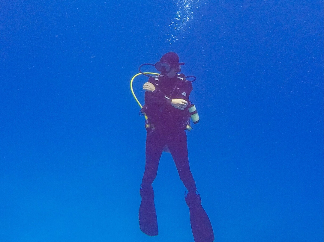 Dive Bermuda at Somerset-Sandys Parish必去景点