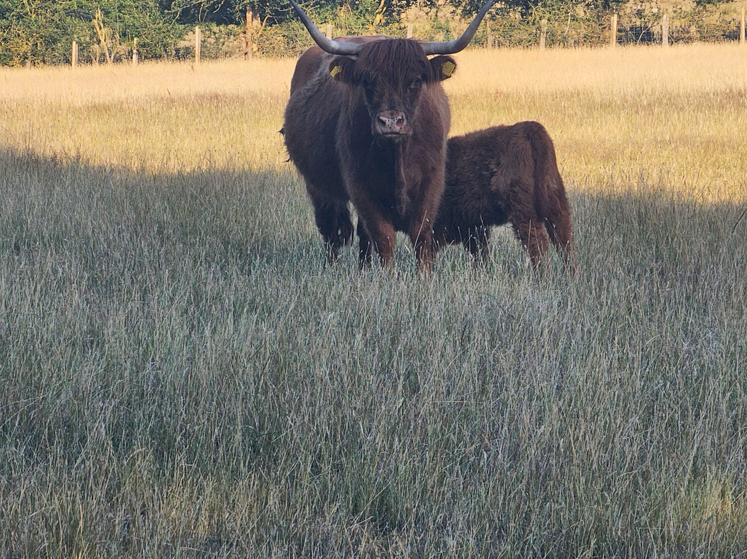 Roundoak Farm-Sutton Valence必去景点
