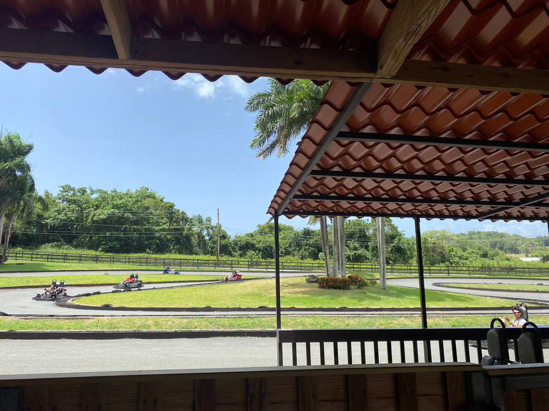 Carabali Rainforest Adventure Park