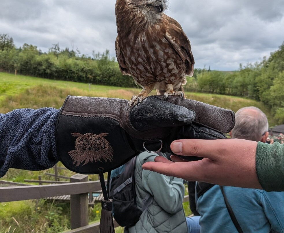 Kielder Water Bird of Prey Centre-Kielder必去景点