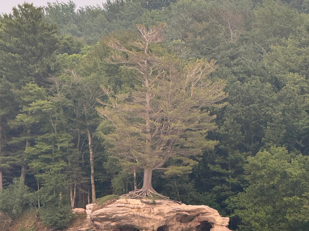 Pictured Rocks Cruises-缪尼辛必去景点